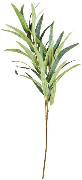 Bamboe tak - 100 cm