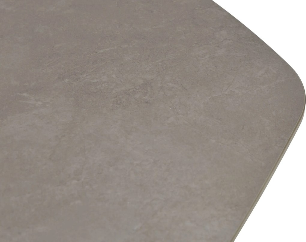 Dining Tuintafel 240 x 120 cm Grijs Voyage