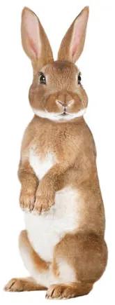 Muursticker konijn (12x32 cm)