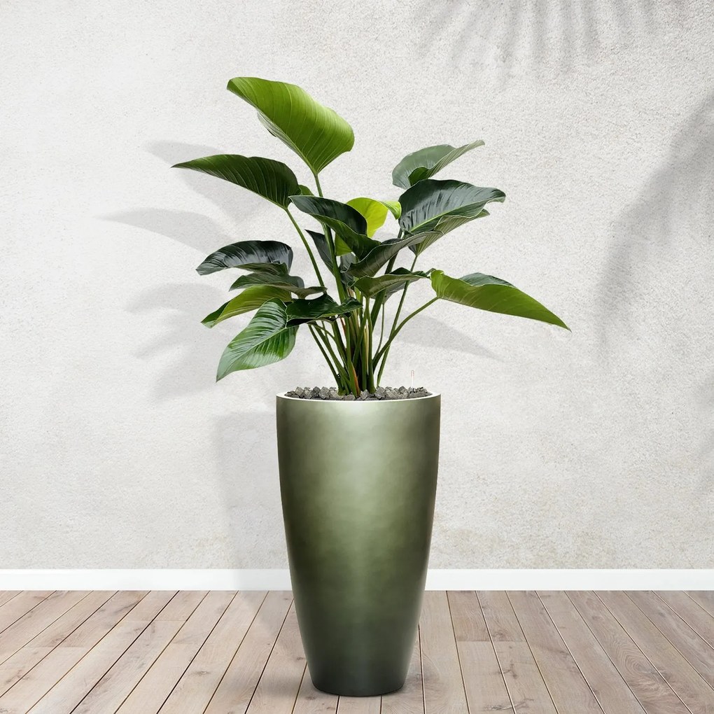 Combideal - Philodendron Green Beauty inclusief zelfwaterende pot Mace Matt Forest Green S - 160cm