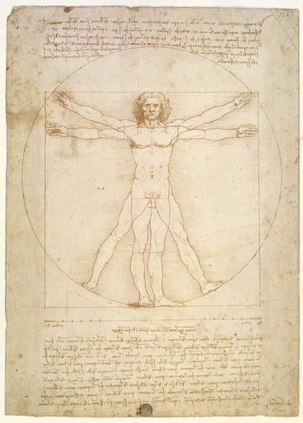 Kunstreproductie The Proportions of the human figure , c.1492, Leonardo da Vinci