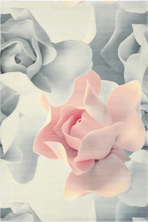 Ted Baker - Porcelain Rose 57402 - 200 x 280 - Vloerkleed
