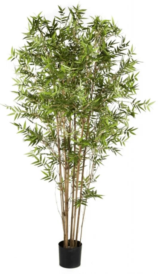 Japanse Kunst Bamboe - 210 cm