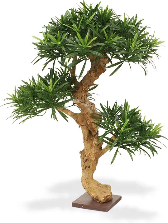 Podocarpus kunstbonsai deluxe 65 cm op voet