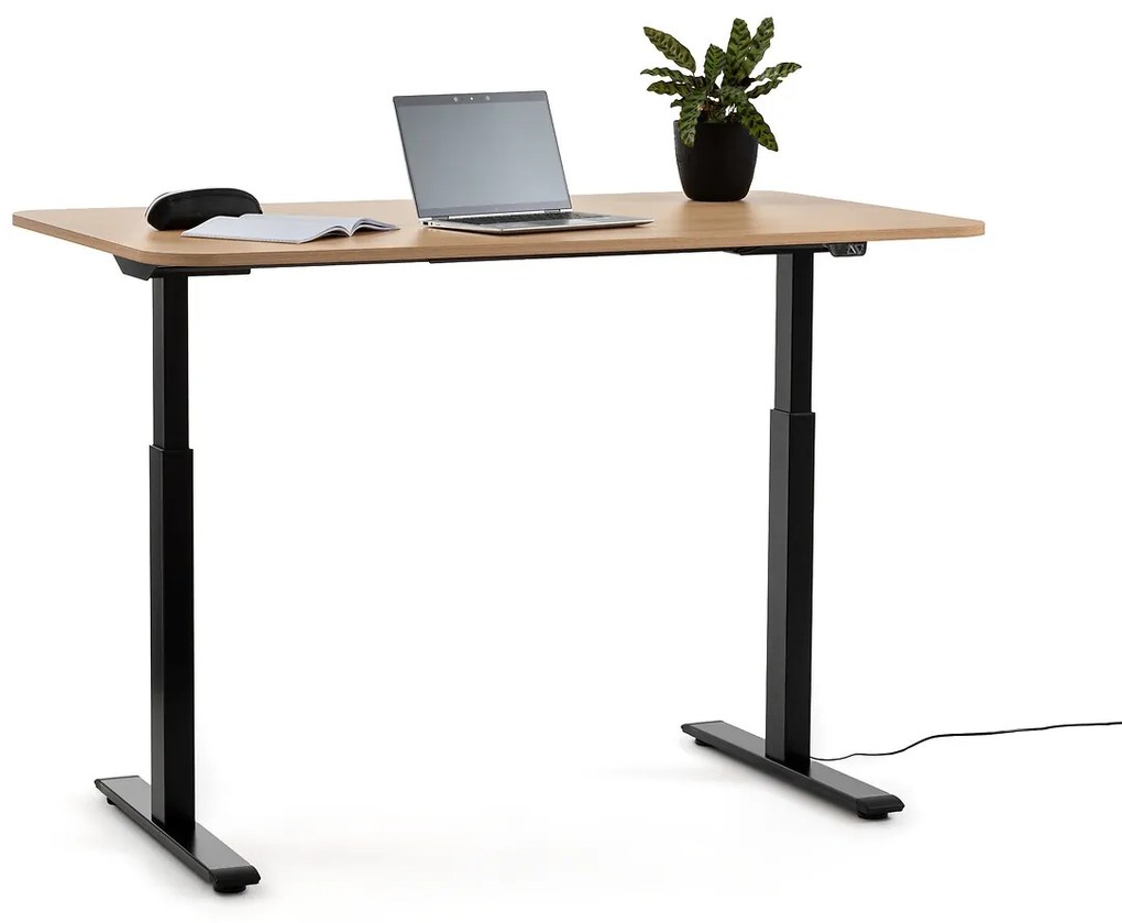 Elektrisch staand bureau 140 x 80 cm Ryta