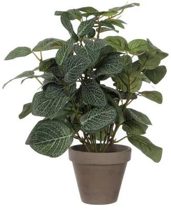 Kunstplant Pilea (h35 cm)