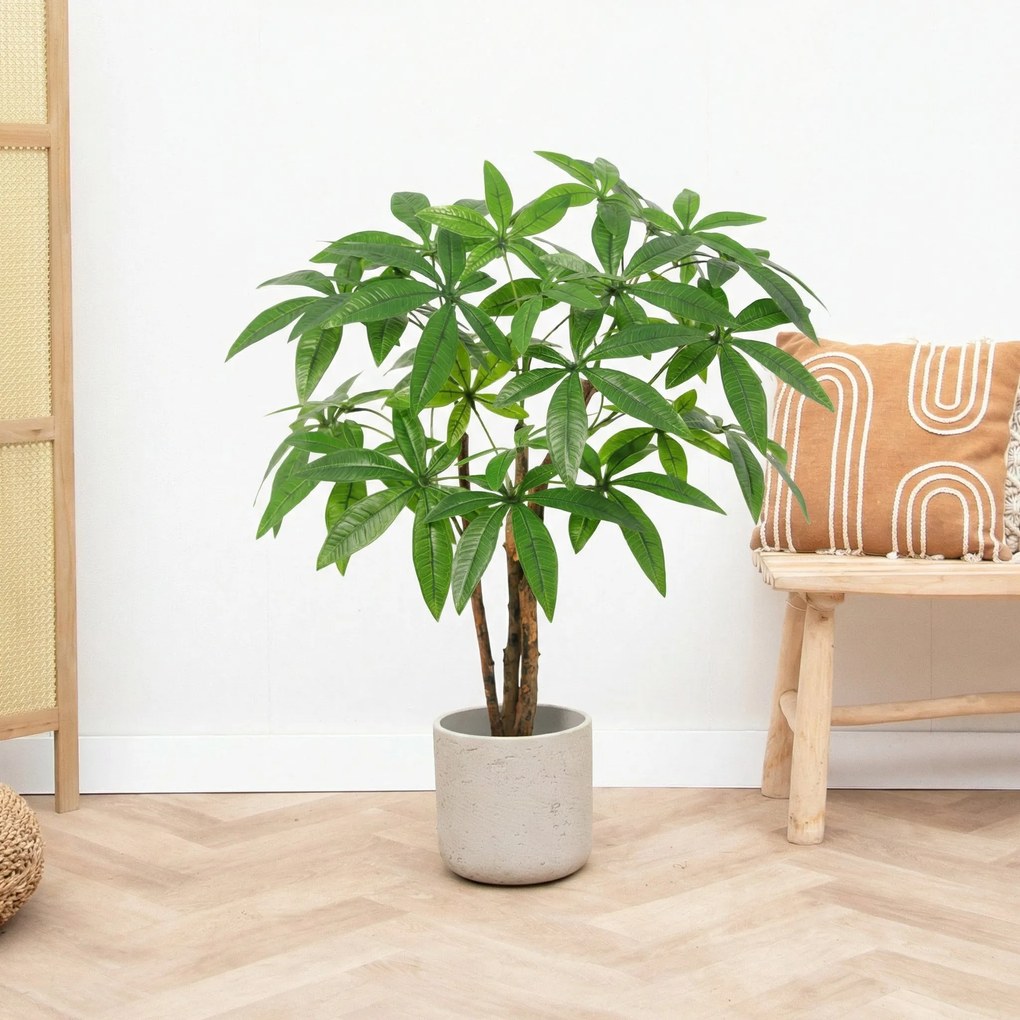 Kunst Pachira Aquatica - 85cm