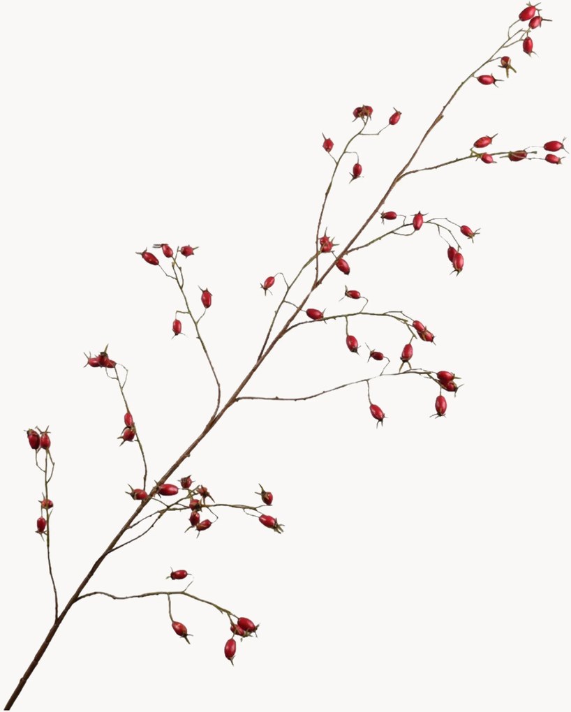 Handgemaakte kunsttakken Rozenbottel, 2-delig