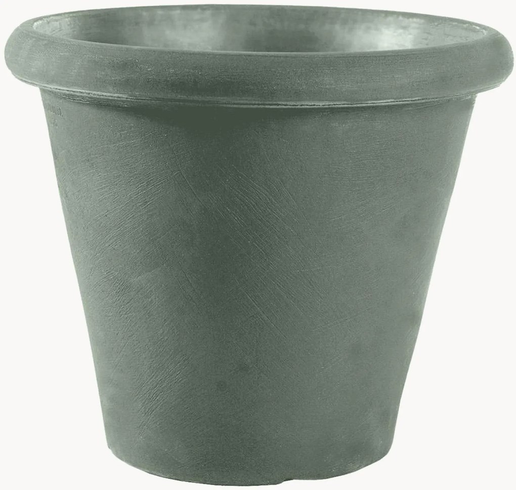 Plantenpot Camelia