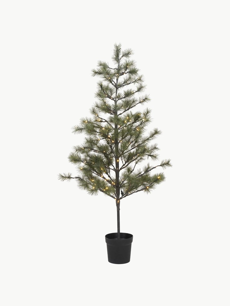 Kerstboom Peuce met LED-verlichting