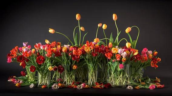 Tulpen stilleven - Canvas - 35x20