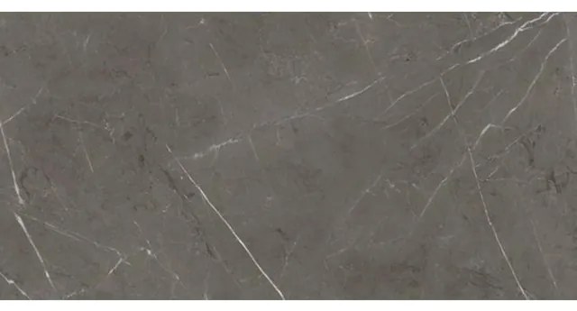 ABK Imoker Sensi Vloer- en wandtegel - 60X120cm - 8,5mm - Rechthoek - gerectificeerd - Porcellanato gekleurd Stone Grey Glans 2018131