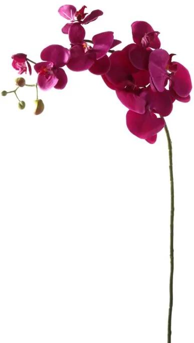 Orchidee Paars 100 cm