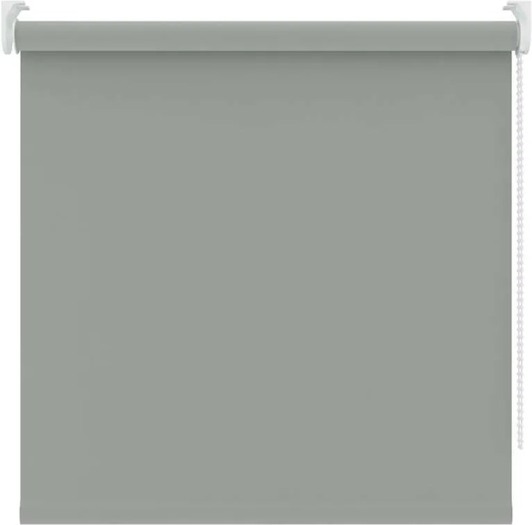 Rolgordijn verduisterend - muisgrijs - 180x250 cm - Leen Bakker