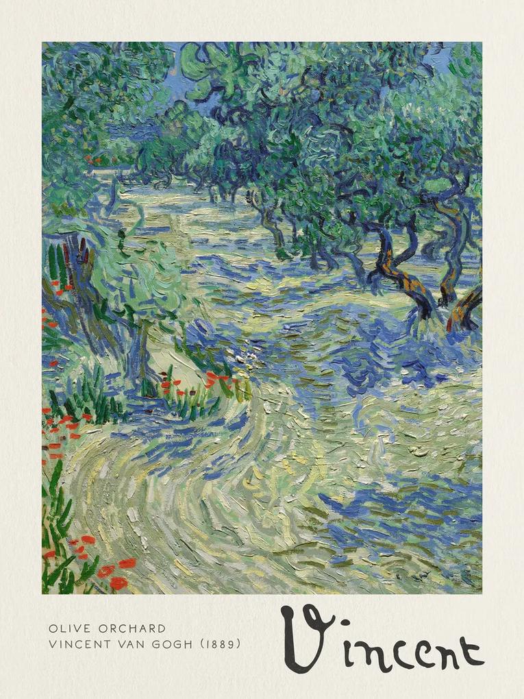 Kunstdruk Olive Orchard - Vincent van Gogh, (30 x 40 cm)