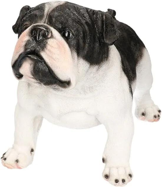 Dierenbeelden staande Engelse Bulldog- Decoratie beeldje Engelse Bulldog zwart/wit 41 cm