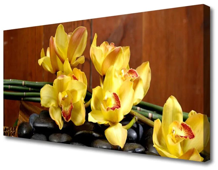Canvas doek foto Flower orchideeinstallatie 100x50 cm