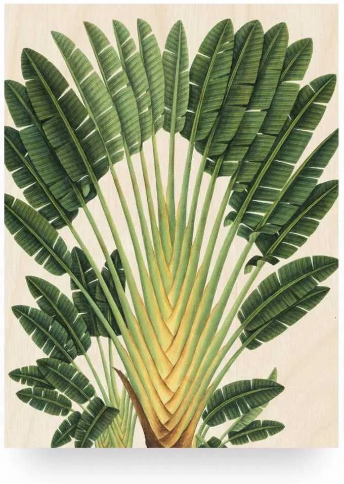 KEK Amsterdam Botanical Palm wandpaneel hout