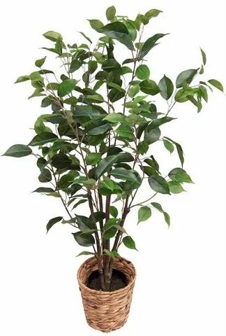 HOME AFFAIRE kunstplant »Ficus«