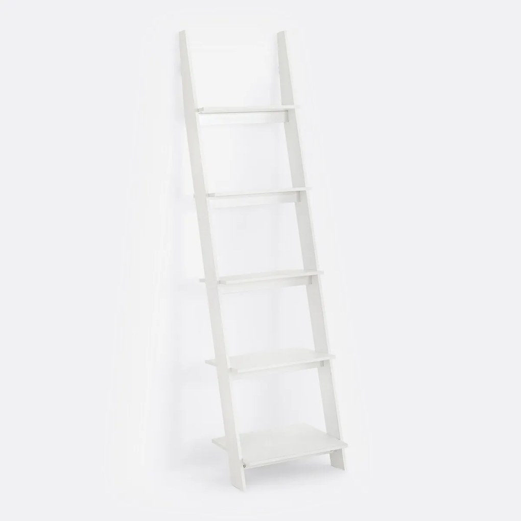 Wandrek in ladder model Domeno