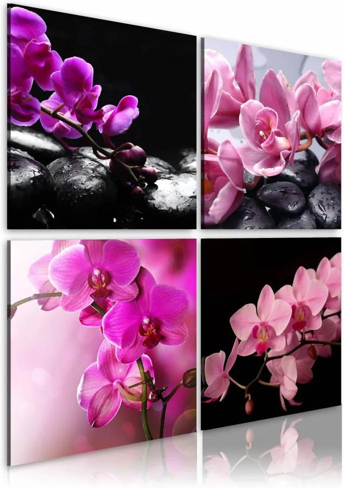 Schilderij - Orchideeën mooier dan ooit , zwart roze , 4 luik