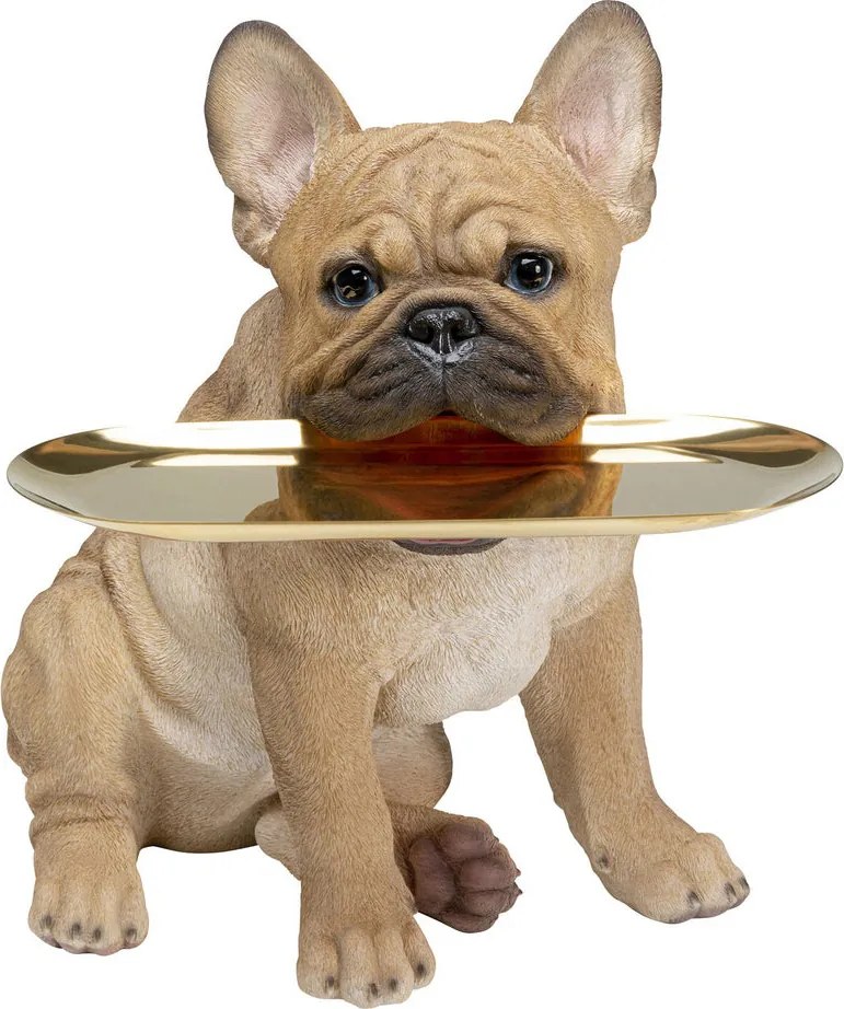 Franse Bulldog Met Dienblad