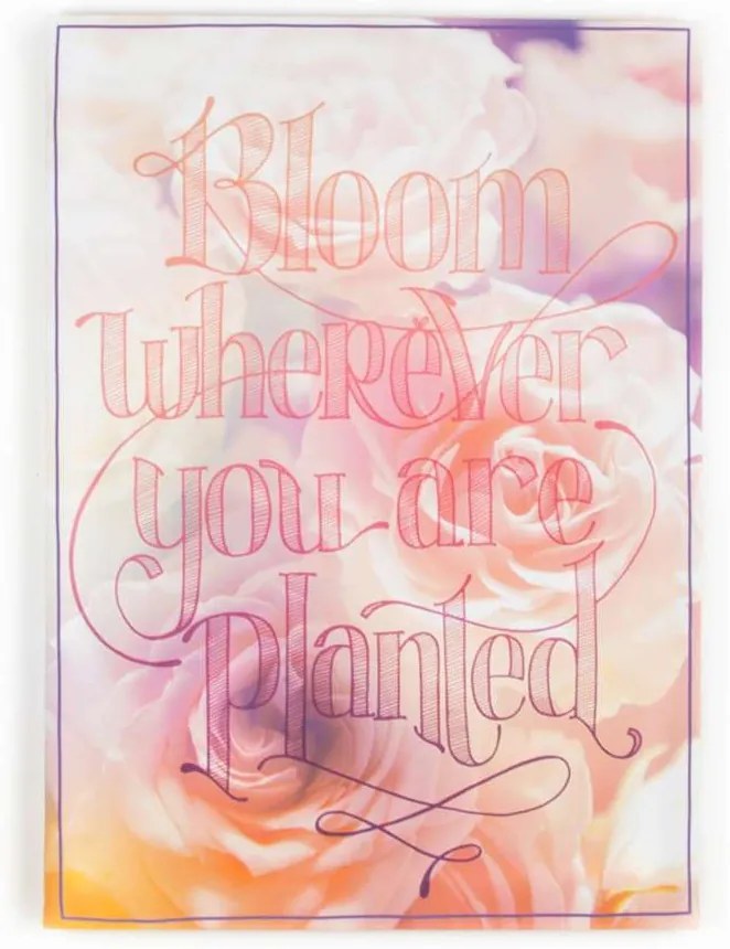 Graham & Brown canvas Bloom wherever you are Planted - multikleur - 50x70 cm - Leen Bakker