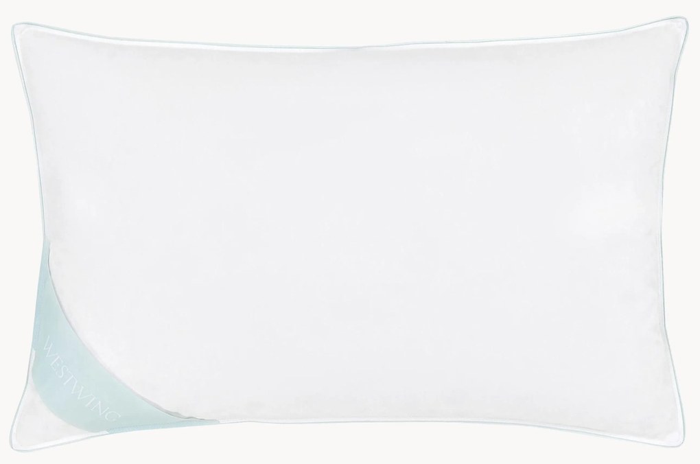 Donzen hoofdkussen Comfort, zacht