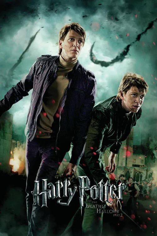 Kunstafdruk Harry Potter - Fred and George