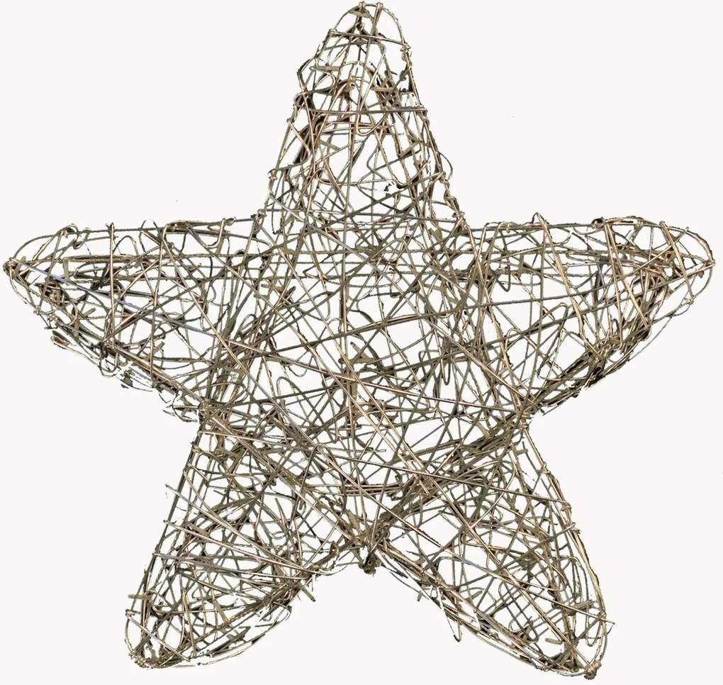 Decoratieve kerst LED 3D licht Galax Star