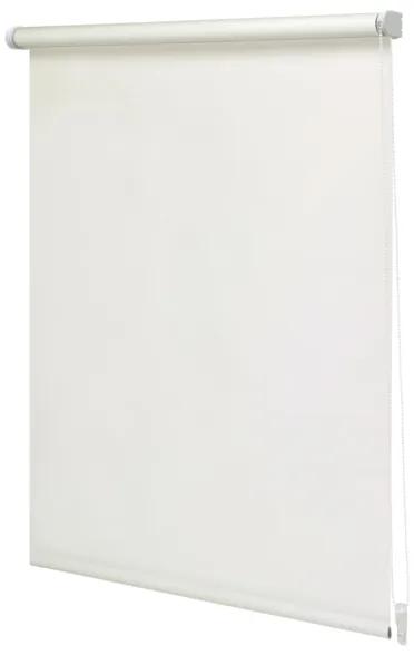 Intensions Rolgordijn 120x190x5cm lichtdoorlatend Polyester met kunststof raamwerk Gebroken Wit 1187178