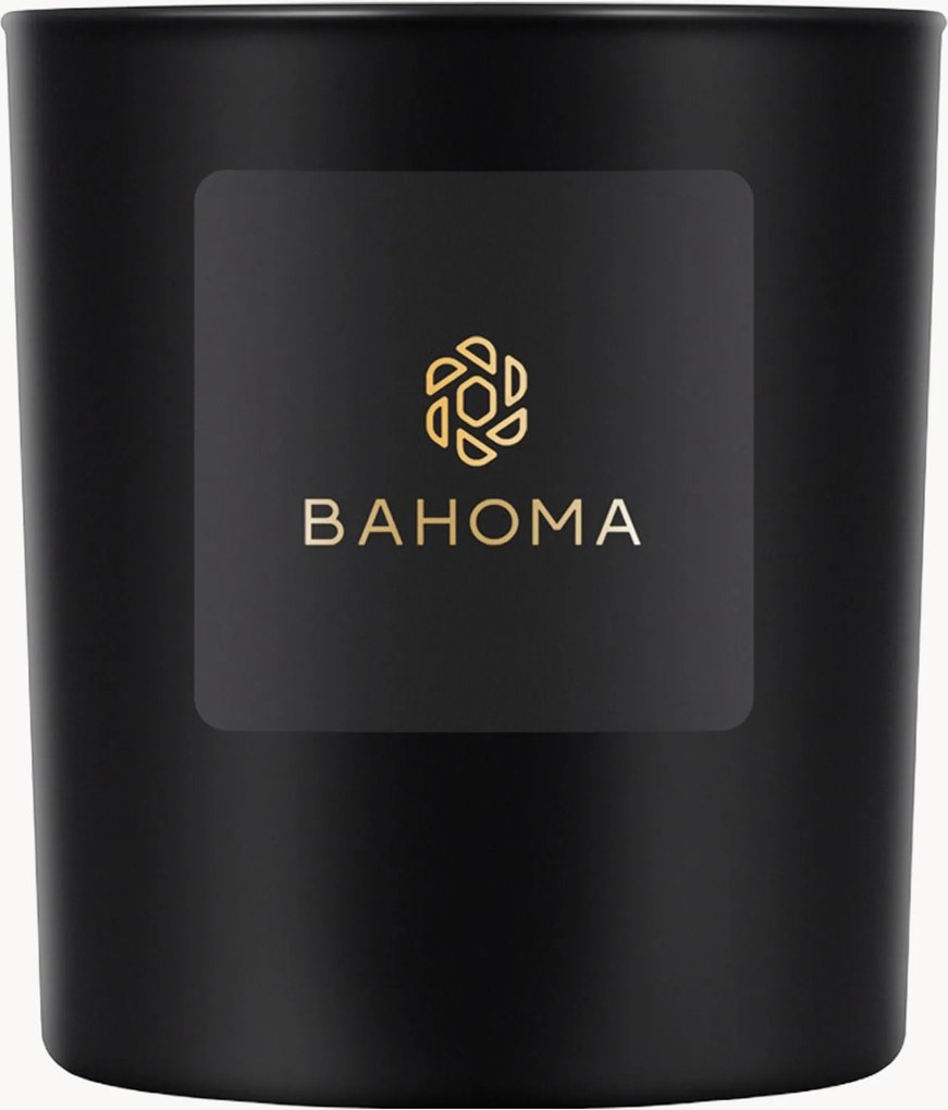 Met de hand gegoten grote kaars Ame des Indes (bergamot, jasmine, musk)