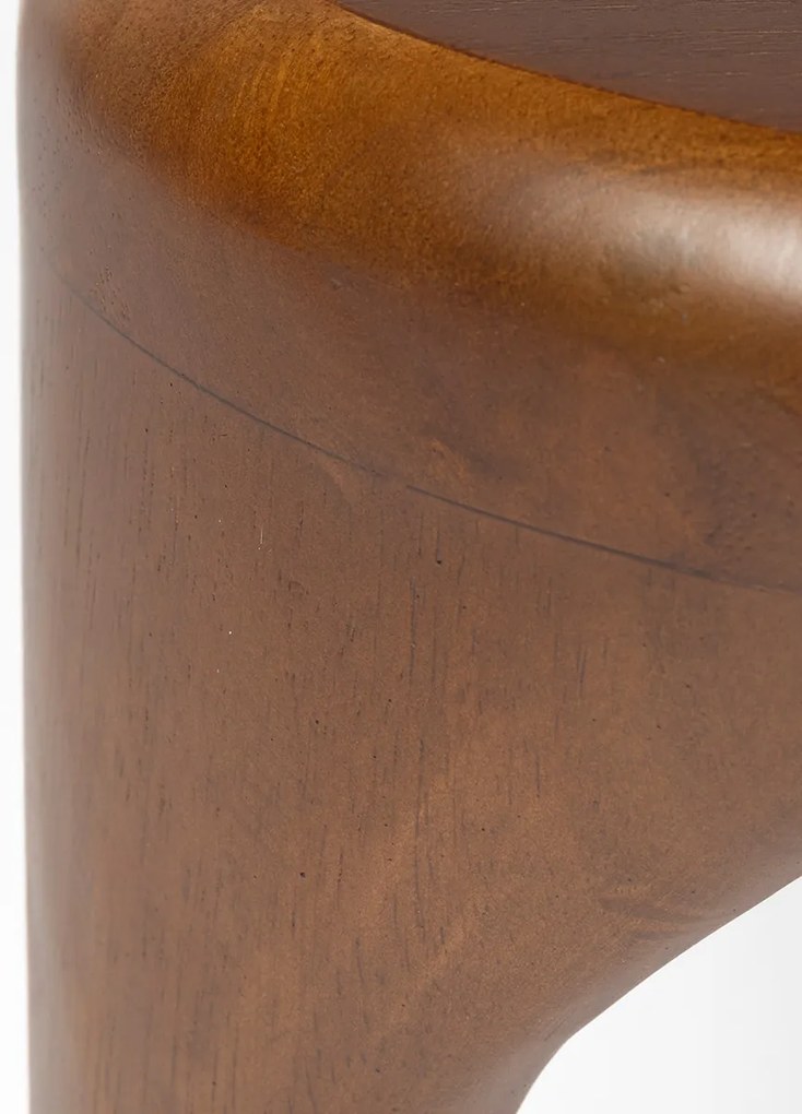 Zuiver Isla Walnut Design Salontafel Set Walnoot Hout - 110 X 60cm.