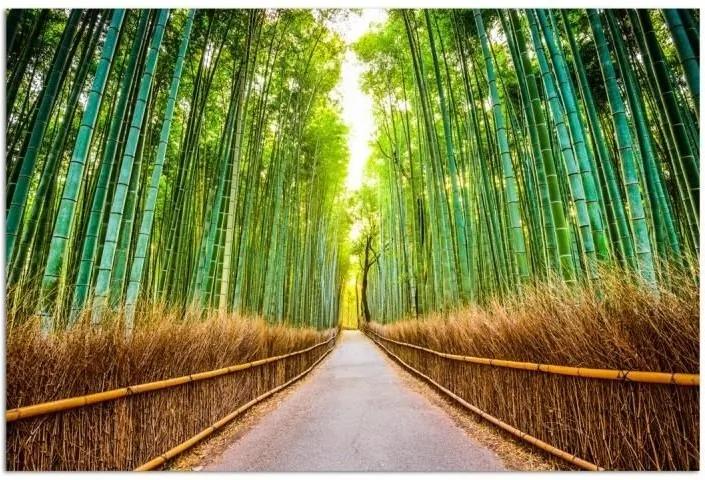 Schilderij - Pad door het bamboe, groen, 1 deel