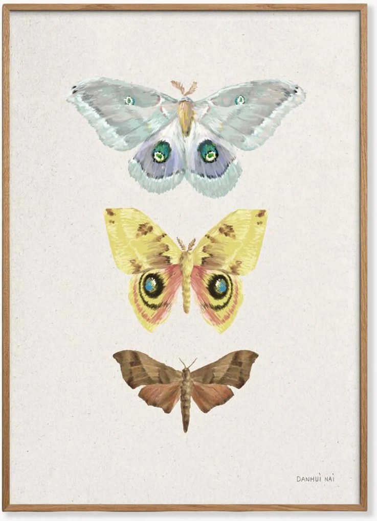 Ingelijste digitale print Beauty of the Forest II