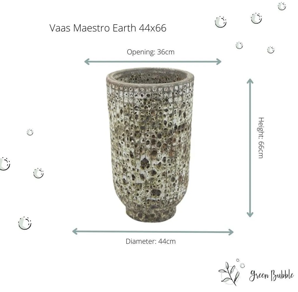 Vaas Maestro earth
