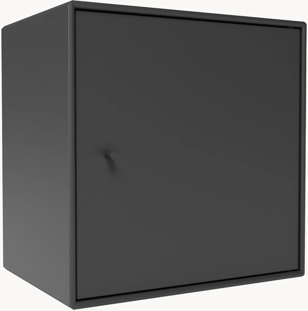 Module Mini 1003