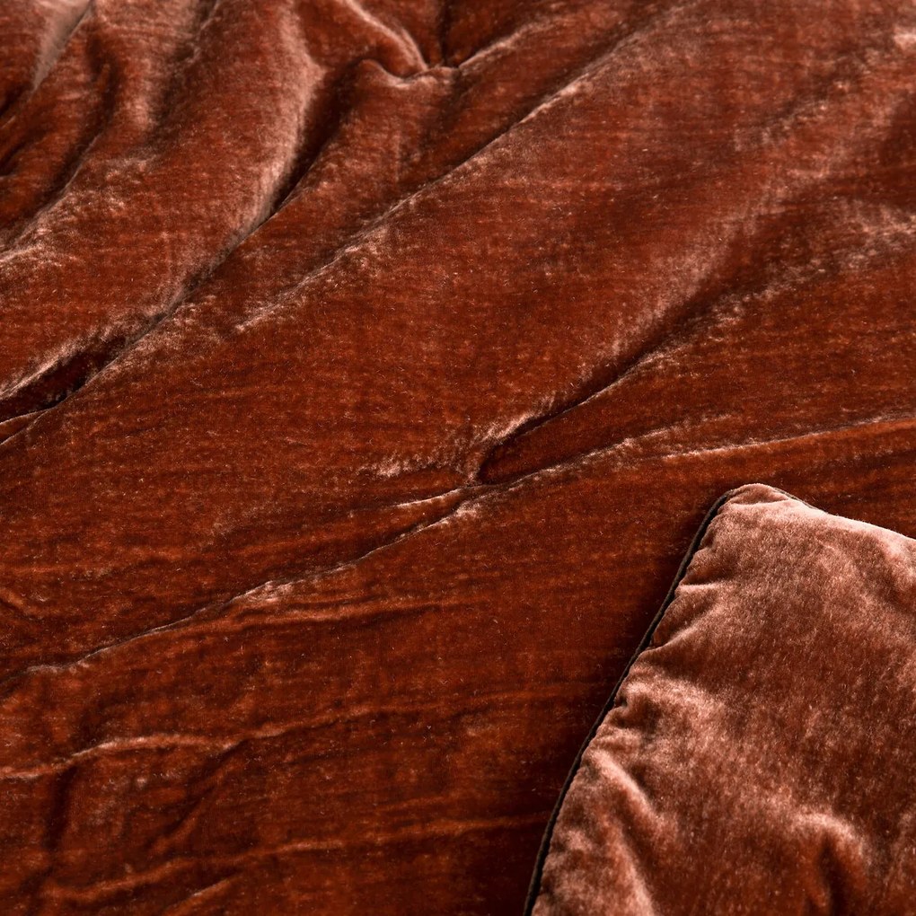 Fluwelen dekbed, Vezina