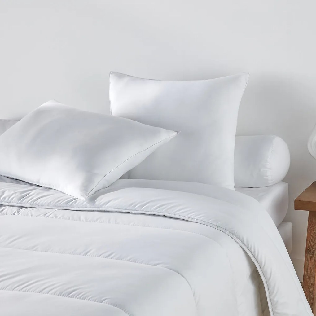 Set van 2 stevige kussens met anti-huisstofmijtbehandeling