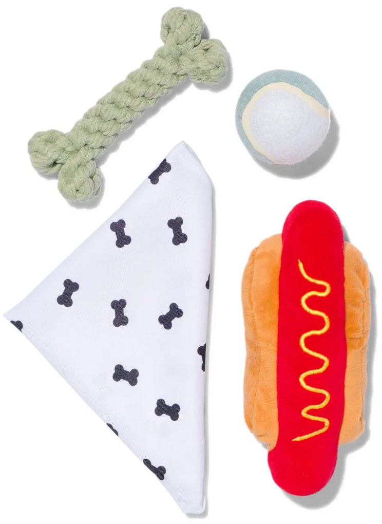 HEMA Honden Speelgoed Box 4-delig