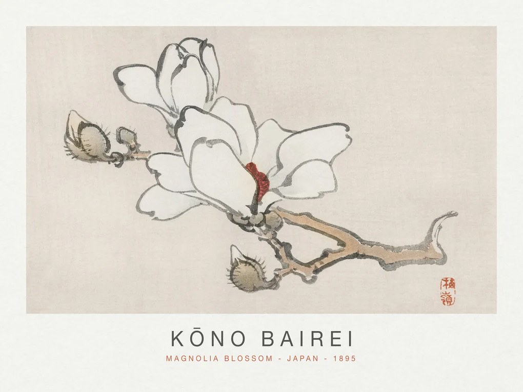 Kunstreproductie Magnolia Blossom (Special Edition Japandi) - Kōno Bairei