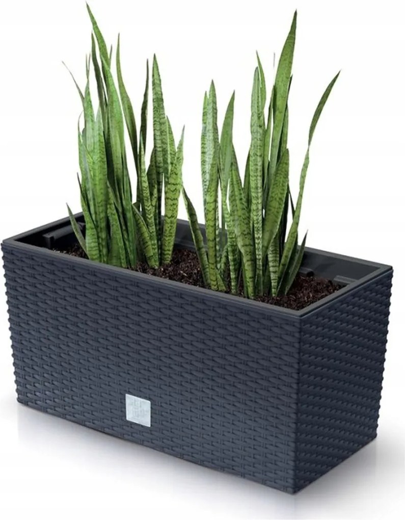 Prosperplast Rato Case Balkonbak - Antraciet - 39,5 cm - Rotan look