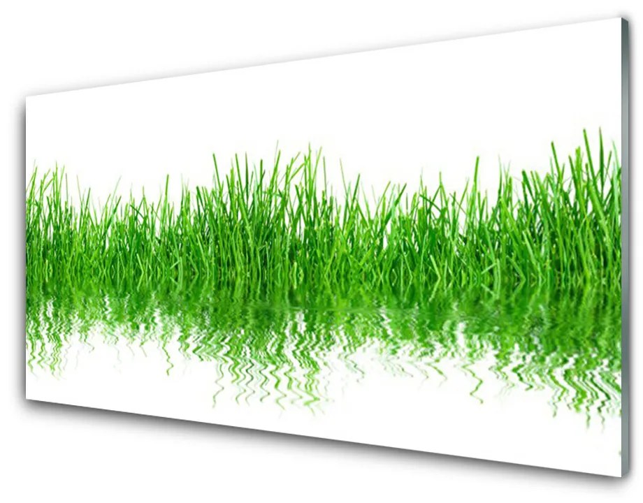 Schilderij op acrylglas Grass nature plant 100x50 cm