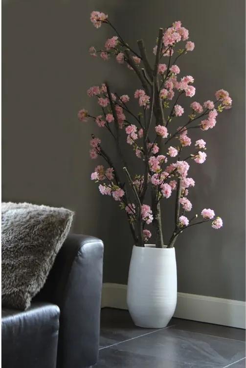 Kersen Bloesemboom Dubbel. Incl. pot± 150 cm