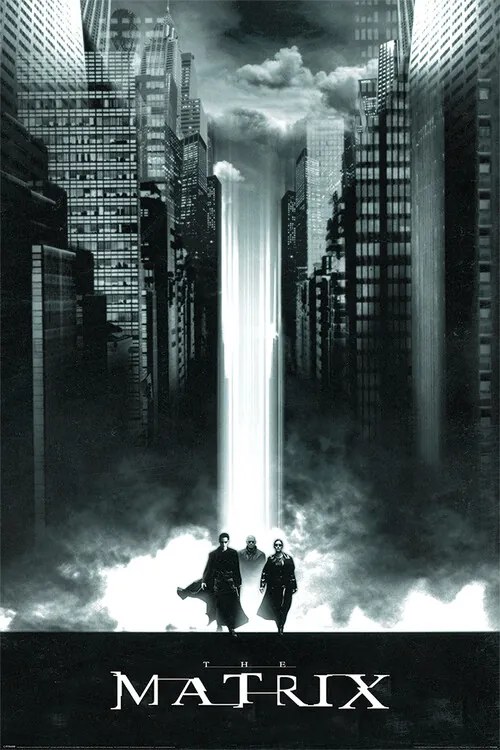 Poster The Matrix - Lightfall, (61 x 91.5 cm)