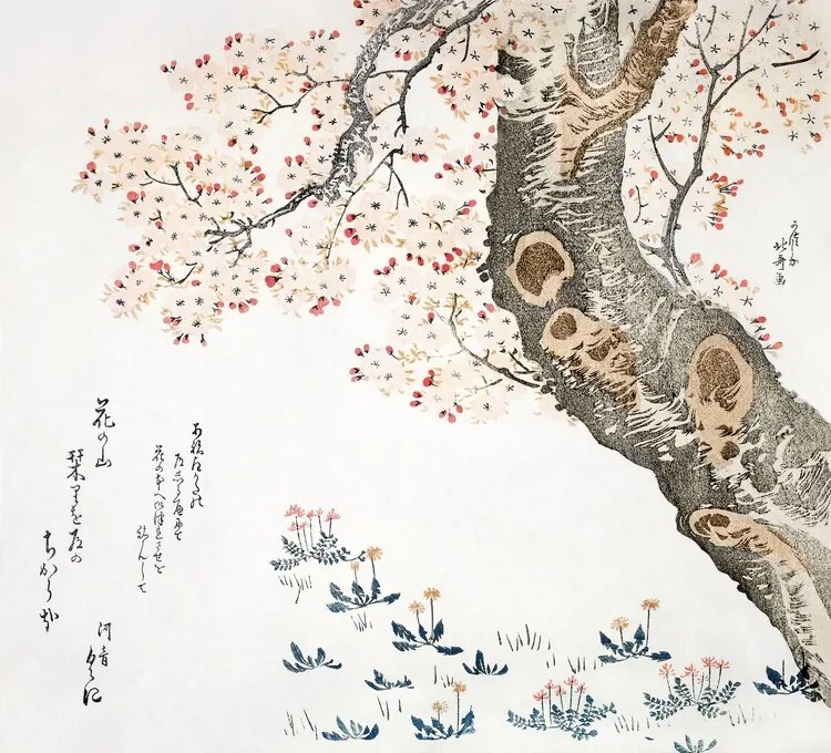 Kunstreproductie Cherry tree (1822), Katsushika Hokusai