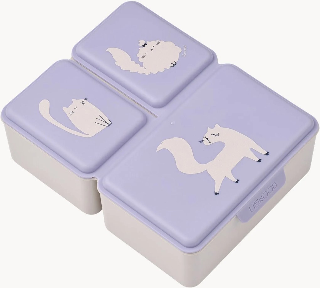 Lunchbox voor kinderen Driss