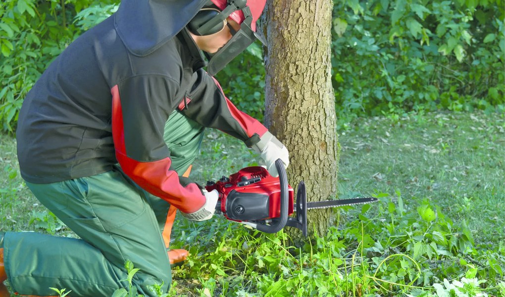 Einhell Gereedschap Benzine Kettingzaag 40 cm