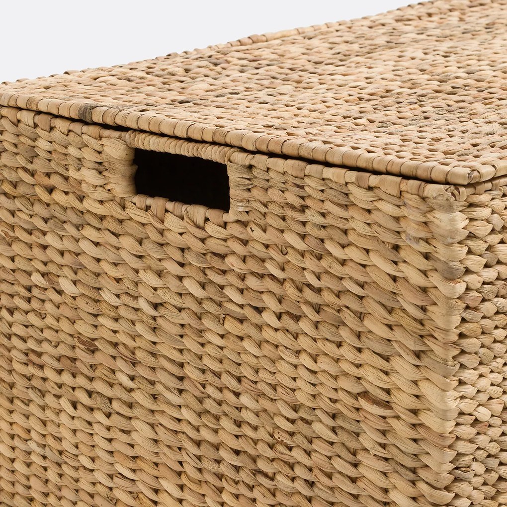 Koffer van waterhyacint, Semra