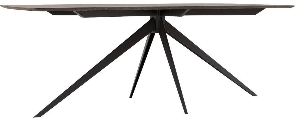 Goossens Excellent Eettafel Uniek, Semi rechthoekig 200 x 100 cm